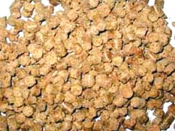 Palm Keernel Meal
