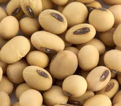 Soyabeans