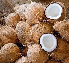 Semi Husked Coconut