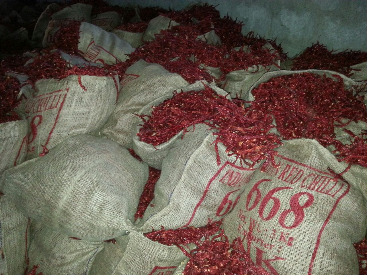 Red Chilli 668